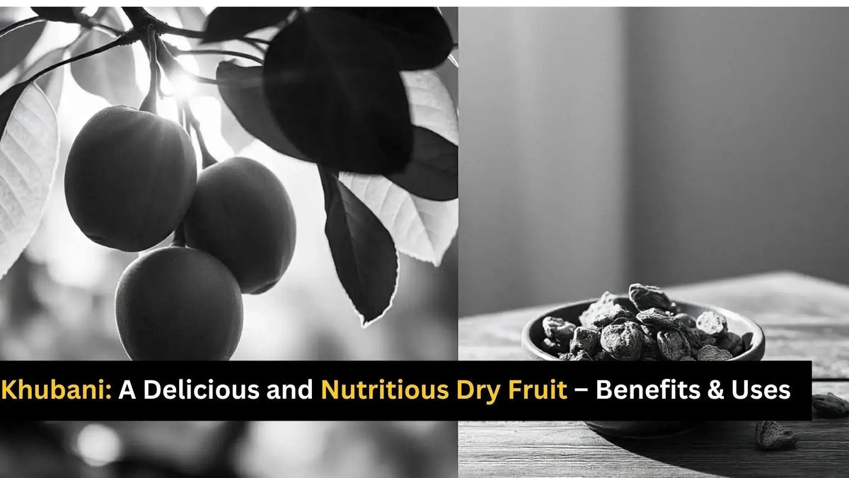 Khubani: A Delicious and Nutritious Dry Fruit – Benefits & Uses 2025