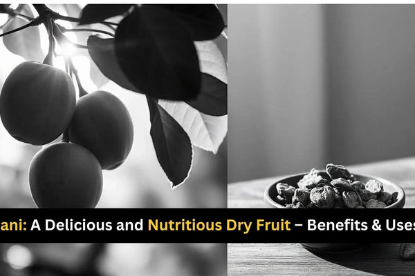 Khubani: A Delicious and Nutritious Dry Fruit – Benefits & Uses 2025