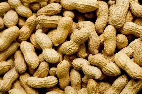 Parachinar peanuts in Pakistan