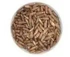 Chilgoza (Pine Nuts) Online Prices in Pakistan — Buyer’s Checklist