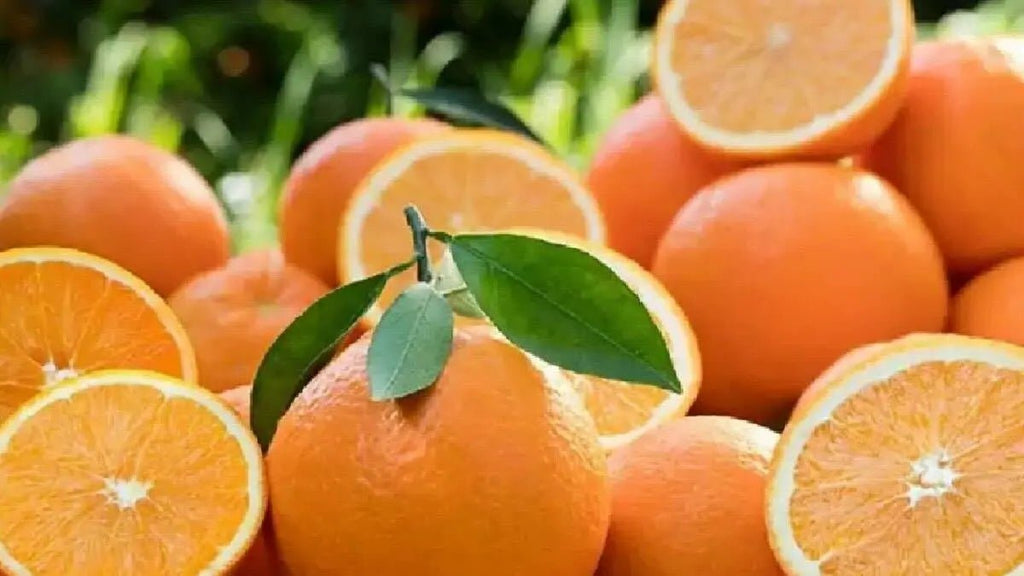 The King of Winter Fruits: Citrus