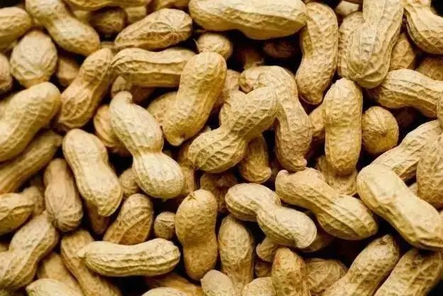 The Unique Flavor of Parachinar Peanuts: Why They're Worth Trying