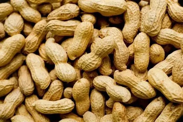 The Unique Flavor of Parachinar Peanuts: Why They're Worth Trying