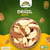 Brazil Nuts: Benefits, Nutrition, Uses, Side Effects & Buying Guide