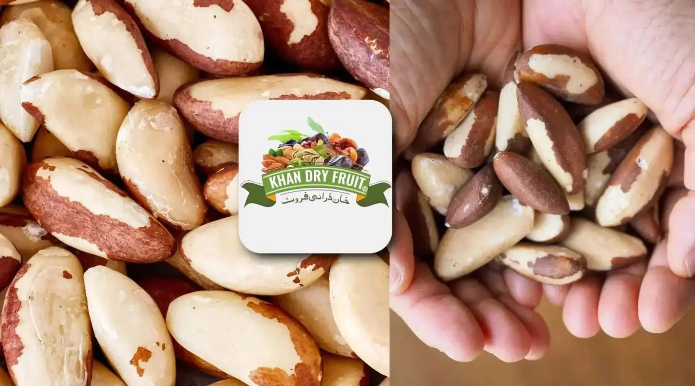 7 Proven Health Benefits of Brazil Nuts - Khan Dry Fruits