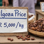 The Ultimate 2026 Guide to Premium Organic Seeds & Chilgoza: Nutrition, Global Prices, and Health Benefits