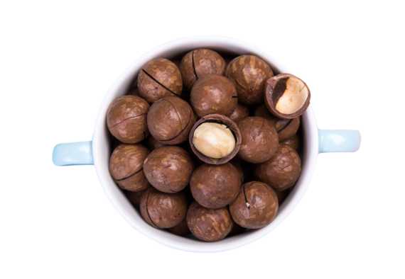 Macadamia Nuts with Shell