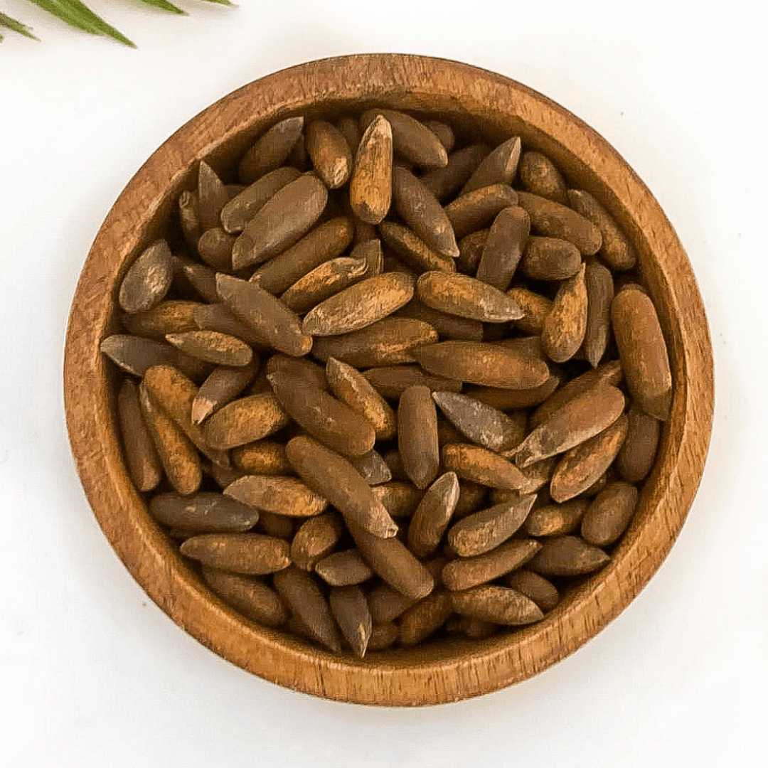 Pine Nuts chilgoza Price