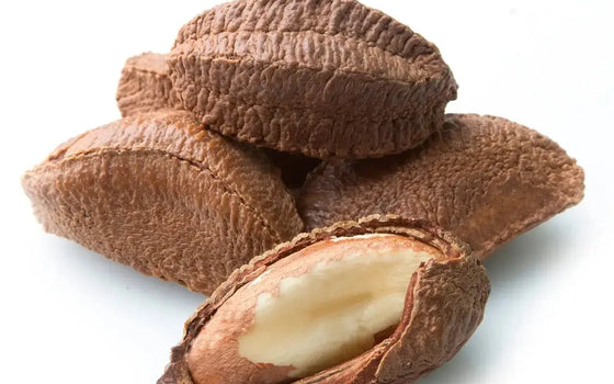 brazil-nut 