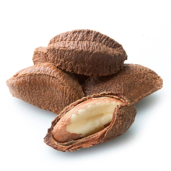 brazil nut