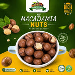 Roasted Macadamia Nuts ( 250gm Pack)  Chabi Wala Akhrot 