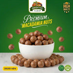 Roasted Macadamia Nuts ( 250gm Pack)  Chabi Wala Akhrot 