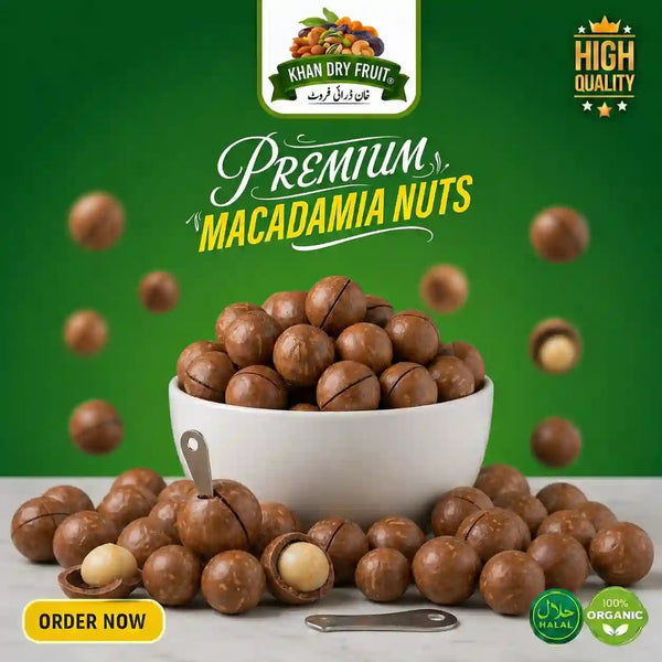 Roasted Macadamia Nuts ( 250gm Pack)  Chabi Wala Akhrot