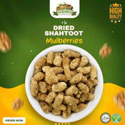Dried Shahtoot 250gm Pack Dry Mulberries