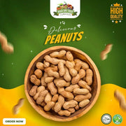 Roasted-Peanuts-Sell - 1KG Pack Gujjar Khan Mong Phali